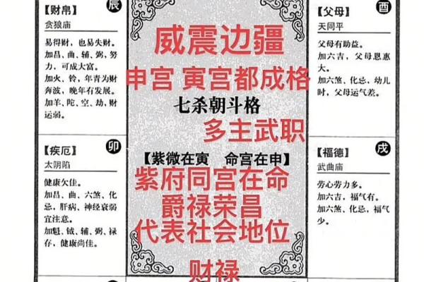 倪海厦推荐的紫薇斗数