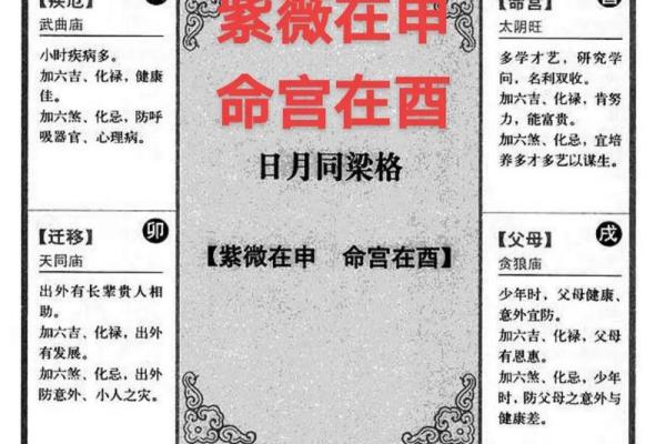 博士紫微斗数 紫微斗数 命宫 博士？