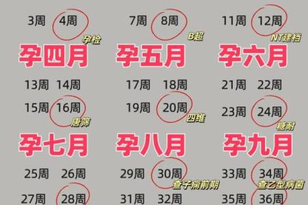 算命的说会怀孕