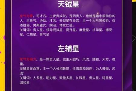 紫薇斗数星曜表