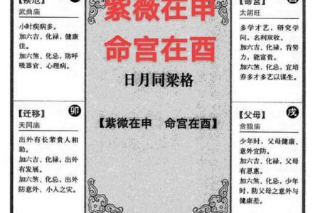 博士紫微斗数 紫微斗数 命宫 博士？