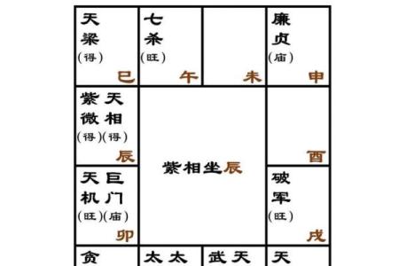 紫薇斗数书籍详解