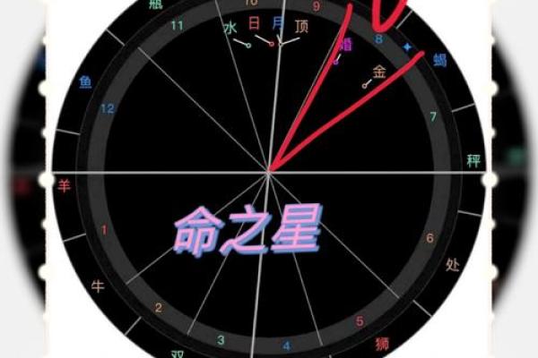 星盘月亮能量对情感关系影响,星盘月亮代表什么