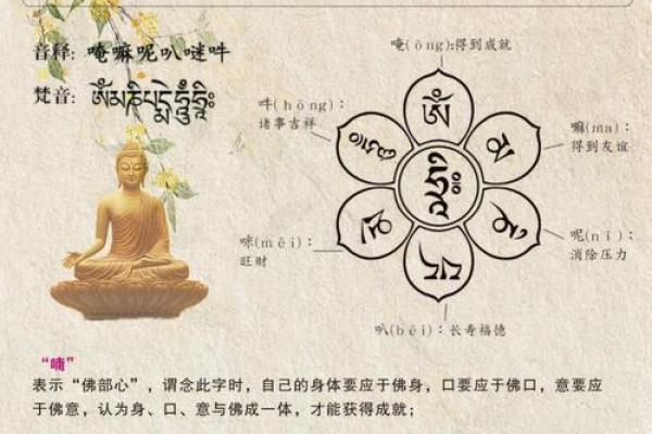 生命可贵八字真言怎么说 生命可贵八字真言怎么说