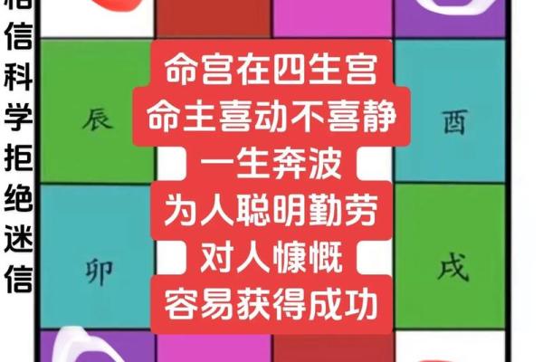 紫薇斗数亥宫 紫薇斗数亥宫