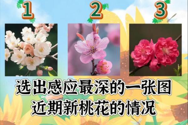 塔罗测试：三月你的桃花运？