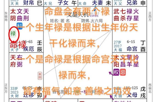 流年运势紫薇斗数 流年运势紫薇斗数