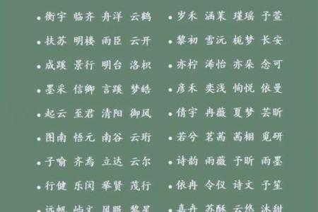 给双胞胎男宝宝的取名的两种方法和有寓意的名字-姓名学-华易网姓名