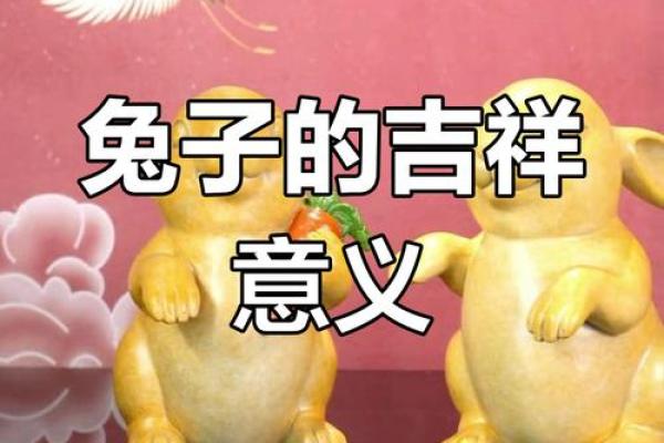 风水吉祥物_兔子吉祥物名字及寓意