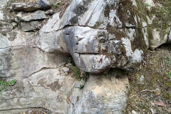 龙的风水作用，龙如何防小人