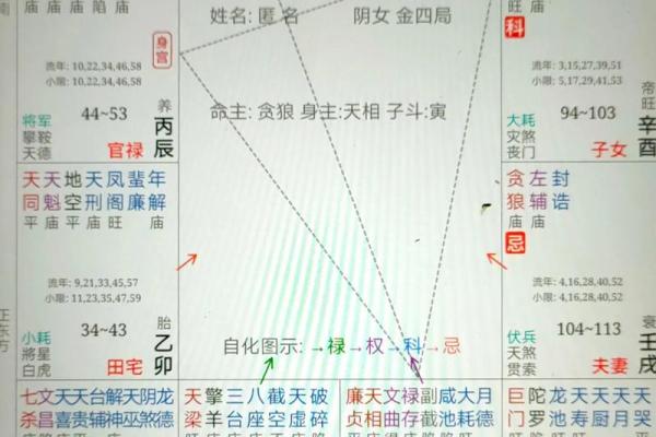 紫微斗数诸星落诸宫之：廉贞星子女宫详解