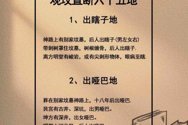 风水墓地_风水玄幻小说排行榜