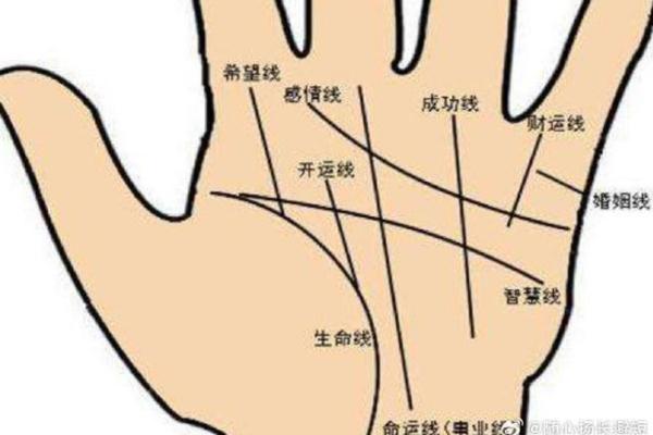 手相算命图解事业线