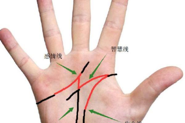 手相算命图解事业线