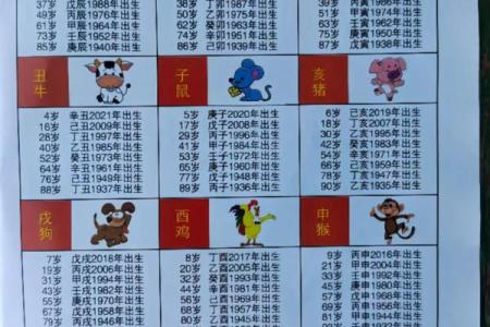 天生八字好富贵是什么生肖属相