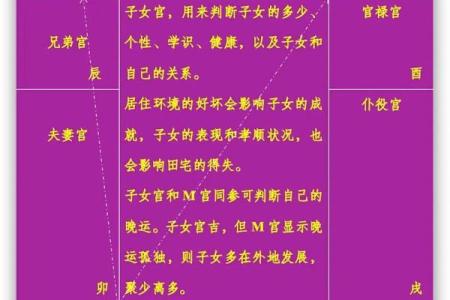 紫薇斗数看牢狱灾