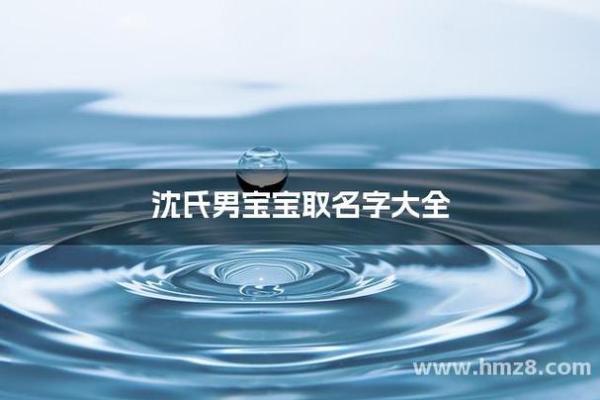 沈姓男孩名字大全-沈姓男孩起名字大全-沈姓名字大全姓名 沈姓男孩名字大全-沈姓男孩起名字大全-沈姓名字大全姓名