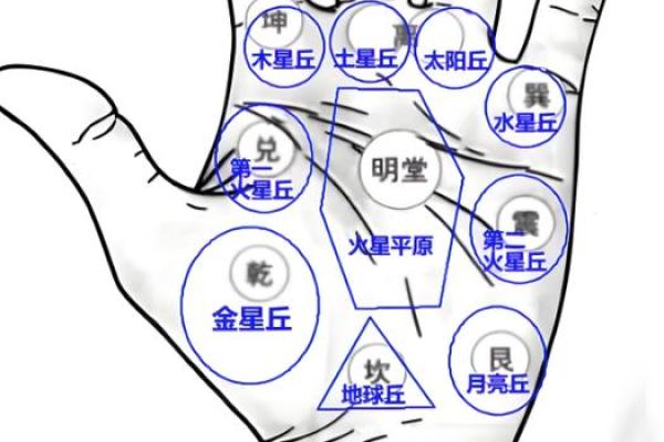 手相-掌丘算命图解