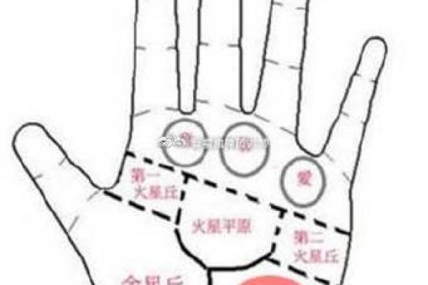 手相-掌丘算命图解