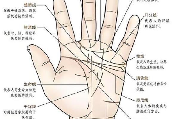 图解：手相棺材纹算命