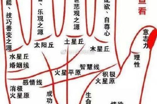 图解：手相棺材纹算命