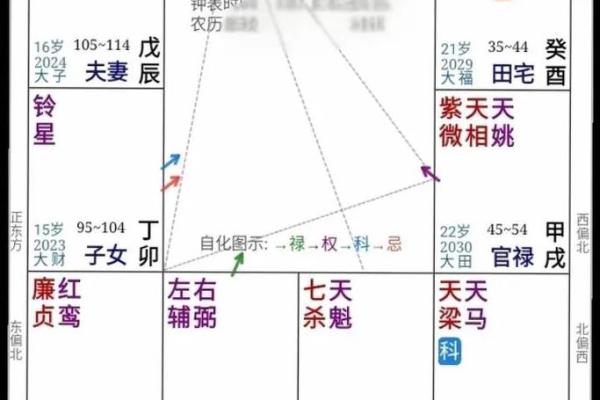 我是紫薇斗数 我是紫薇斗数