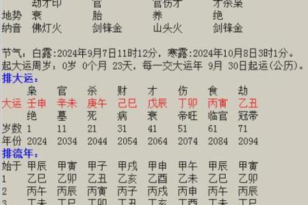 宝宝起名生辰八字五行查询