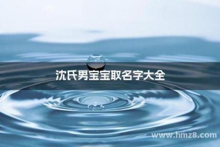 沈姓男孩名字大全-沈姓男孩起名字大全-沈姓名字大全姓名