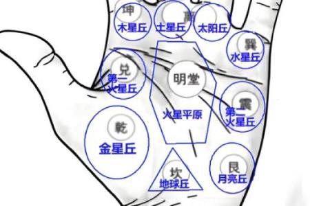 手相-掌丘算命图解