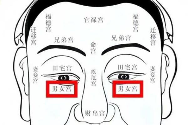 面相算命图解十二宫之：兄弟宫