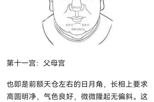 面相算命图解十二宫之：兄弟宫