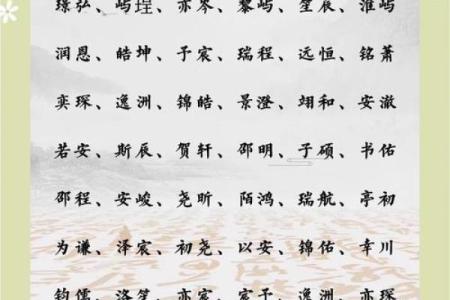 2019年3月22号酉时出生的男孩应该起什么样的名字姓名