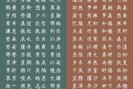 宝宝名字手机打分测试