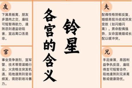紫微斗数术语解释之：吉星