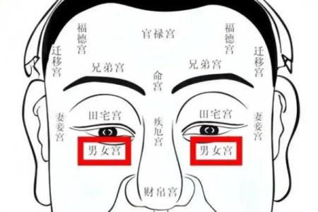 面相算命图解十二宫之：兄弟宫