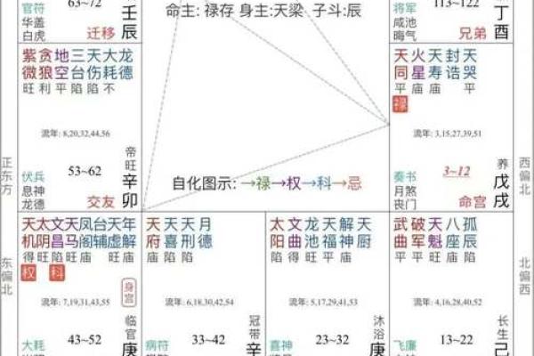 紫薇斗数批大限 紫薇斗数批大限