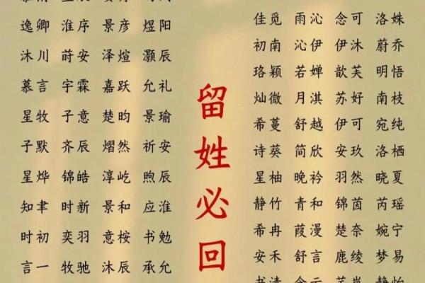 2019年6月29号子时出生的男孩起名时要注意什么姓名