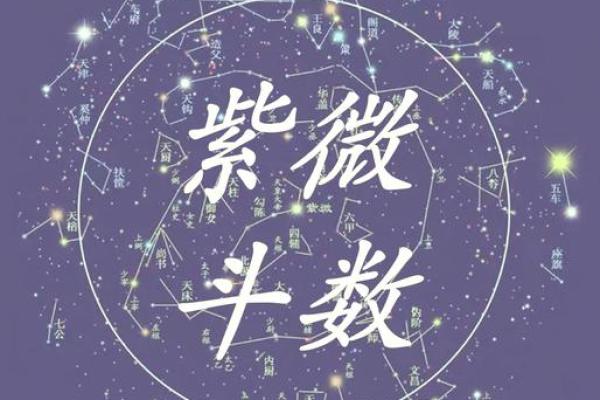 紫薇斗数中国网