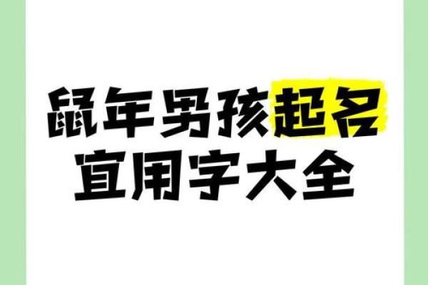 早上9点出生的属鼠男孩要如何起名姓名 早上9点出生的属鼠男孩要如何起名姓名