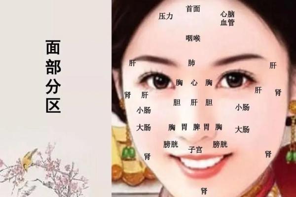 印堂痣和观音痣的区别 观音痣是富贵好命的代表