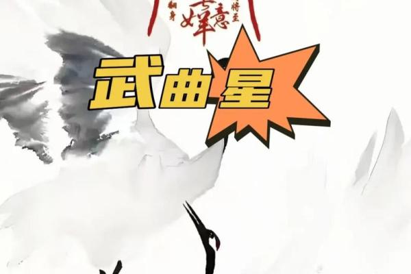 紫微斗数之财帛宫与诸星，武曲星在财帛宫是什么意思？