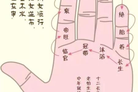 紫薇斗数掌中决