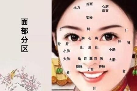 印堂痣和观音痣的区别 观音痣是富贵好命的代表