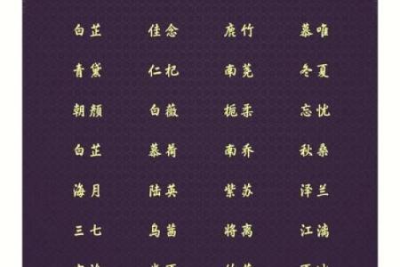 药店名字大全-名字大全姓名