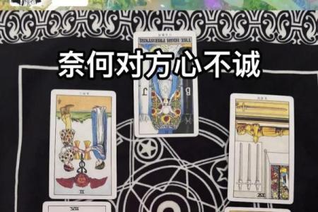 塔罗测试感情未来走向