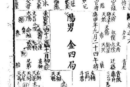 紫薇斗数古籍研究