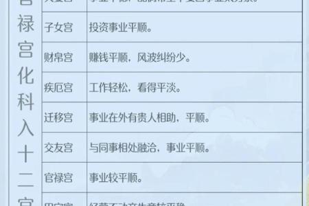 紫薇斗数夹禄夹权