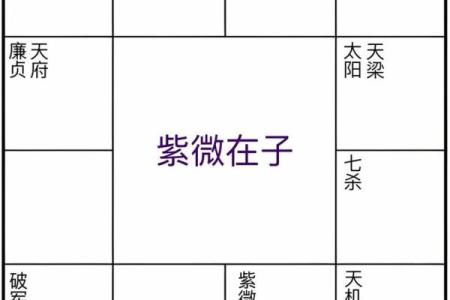 罗大佑紫微斗数 紫微斗数全书罗洪先？