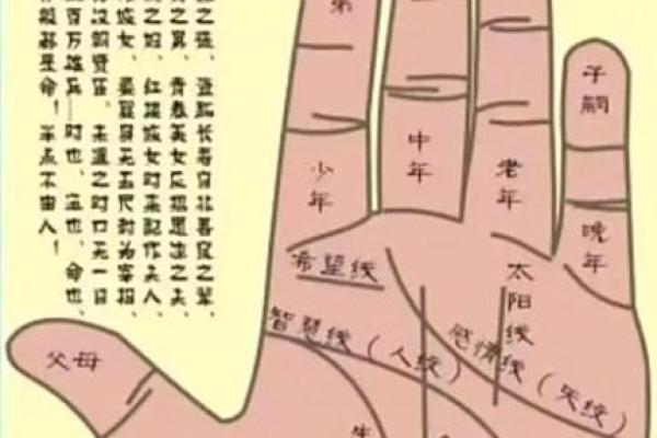 算命获得天命点