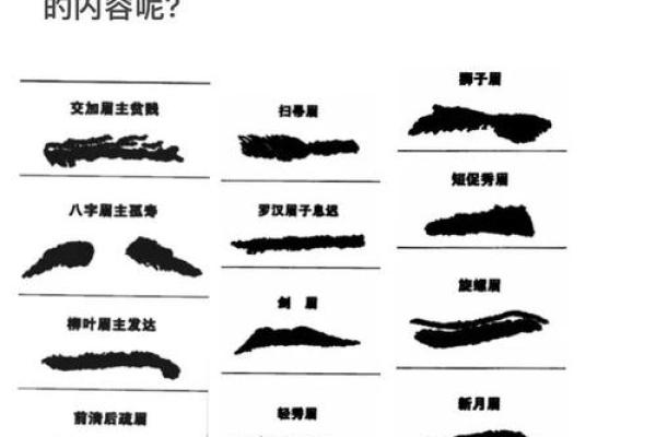 风水角度:柳叶眉女生的面相解释 风水角度:柳叶眉女生的面相解释